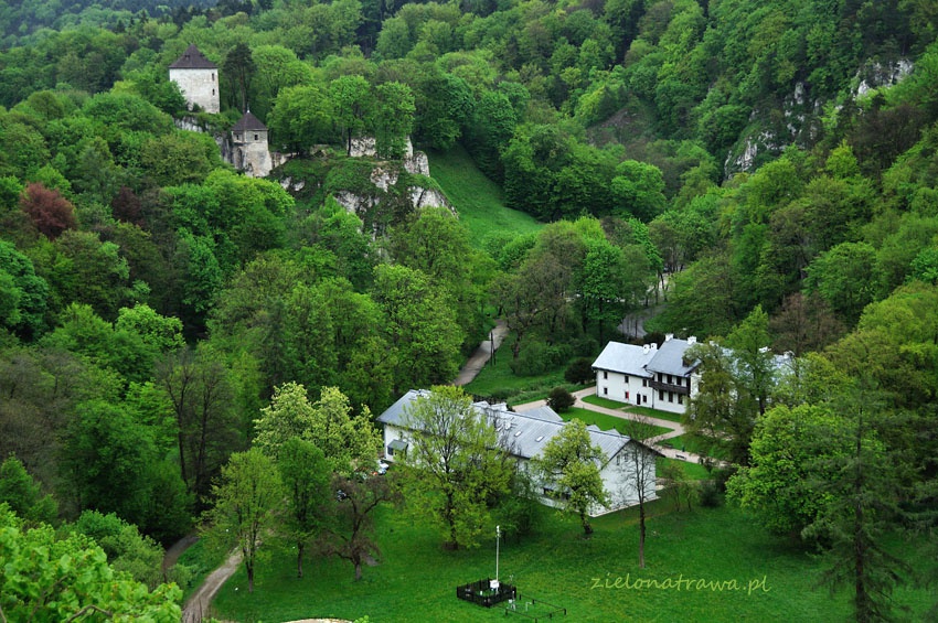 Zamek w Ojcowie - 5 powodów dlaczego warto odwiedzić Ojcowski Park Narodowy