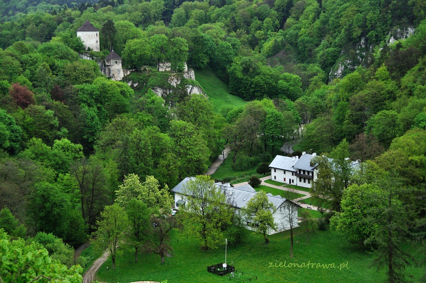 Zamek w Ojcowie Zamek w Ojcowie - 5 powodów dlaczego warto odwiedzić Ojcowski Park Narodowy