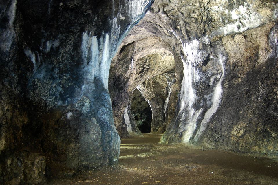 Jaskinia Łokietka - 5 powodów dlaczego warto odwiedzić Ojcowski Park Narodowy