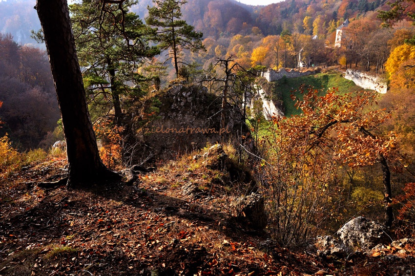 Zamek w Ojcowie Zamek w Ojcowie - 5 powodów dlaczego warto odwiedzić Ojcowski Park Narodowy