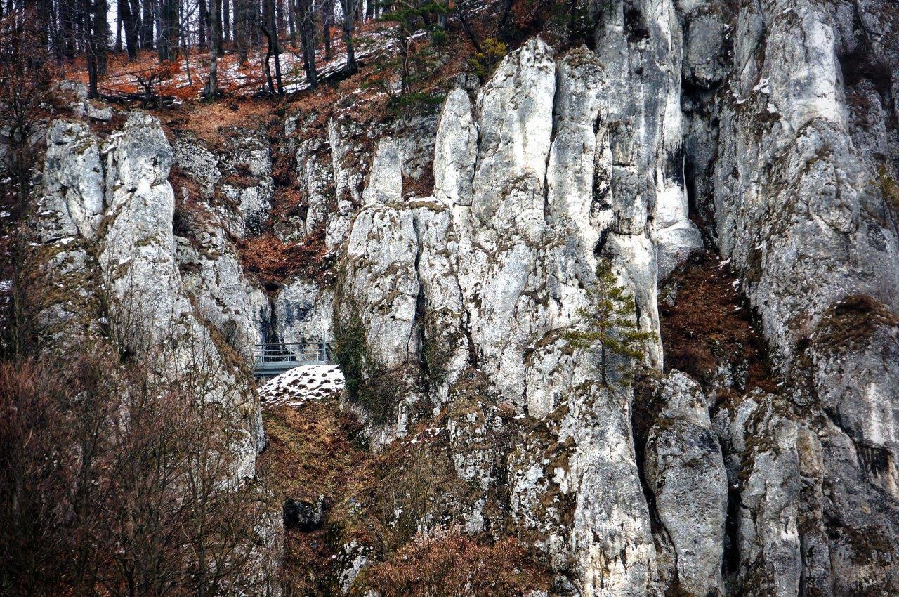 Jaskinia Ciemna - 5 powodów dlaczego warto odwiedzić Ojcowski Park Narodowy