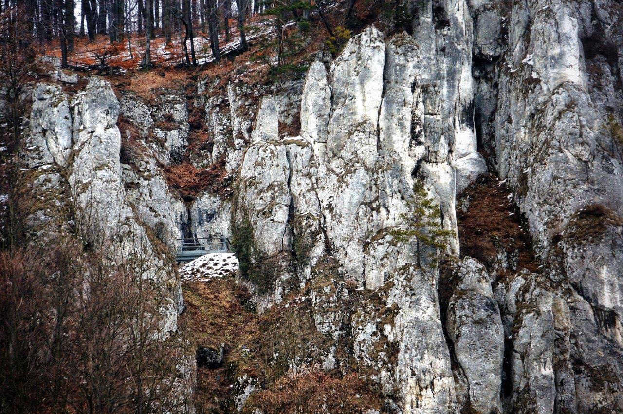 Jaskinia Ciemna Jaskinia Ciemna - 5 powodów dlaczego warto odwiedzić Ojcowski Park Narodowy