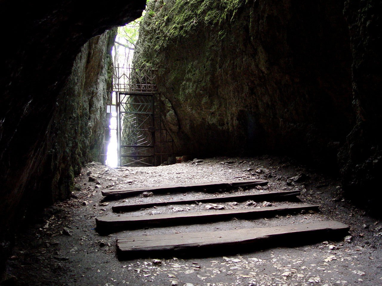 Jaskinia Łokietka - 5 powodów dlaczego warto odwiedzić Ojcowski Park Narodowy